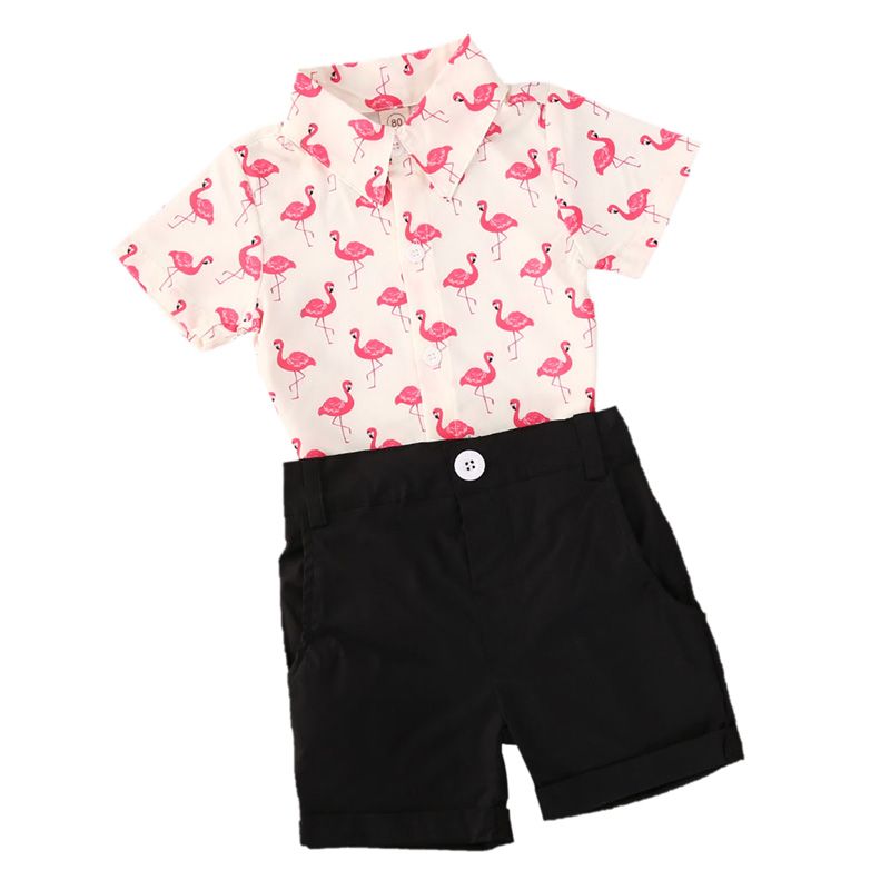 baby boy tropical outfit