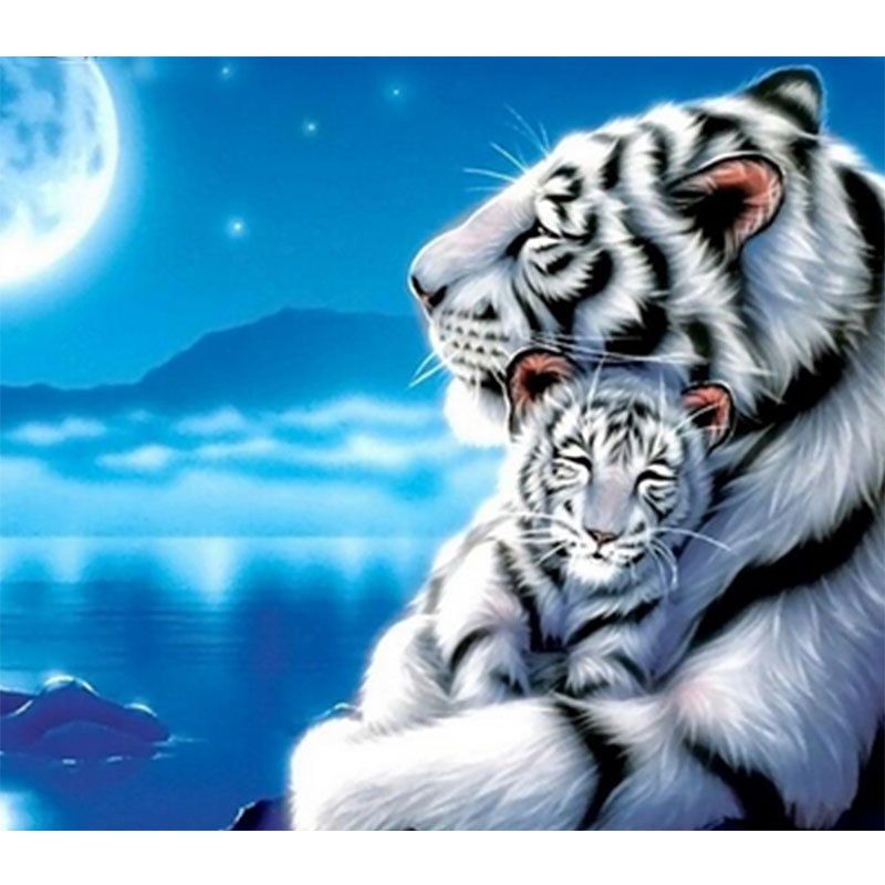 Grosshandel Eis Und Schnee Tiger Omnidirectional 5d Diy Diamant Malerei Stickerei Runde Strass 3d Foto Geschenk Perle Diamant Mosaik Dekoration Von Aiyier 5 5 Auf De Dhgate Com Dhgate