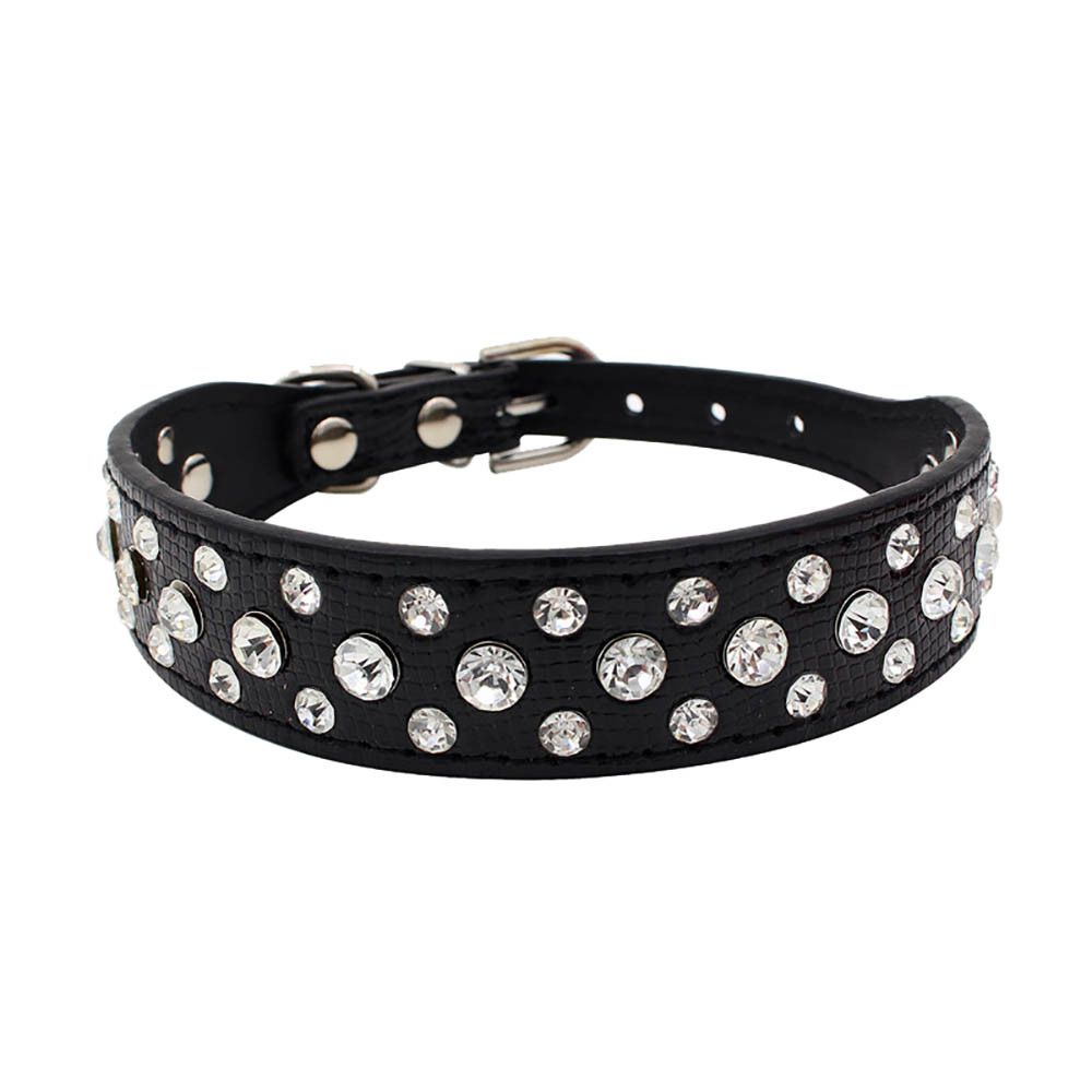cool puppy collars