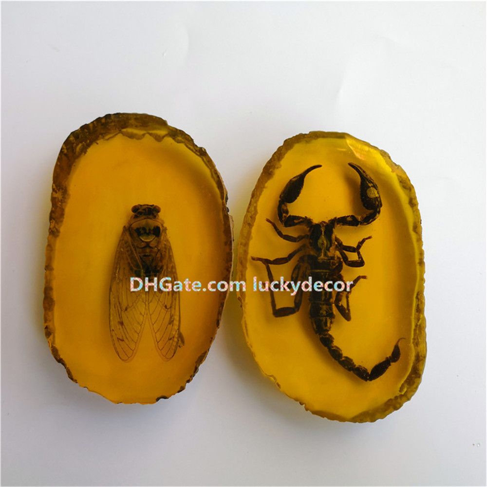 Dragonfly Butterfly Artificial Amber Pendant Scorpion Cicada Bug Fossil Specimen