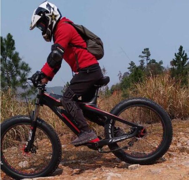 carbon fiber electric bicycle