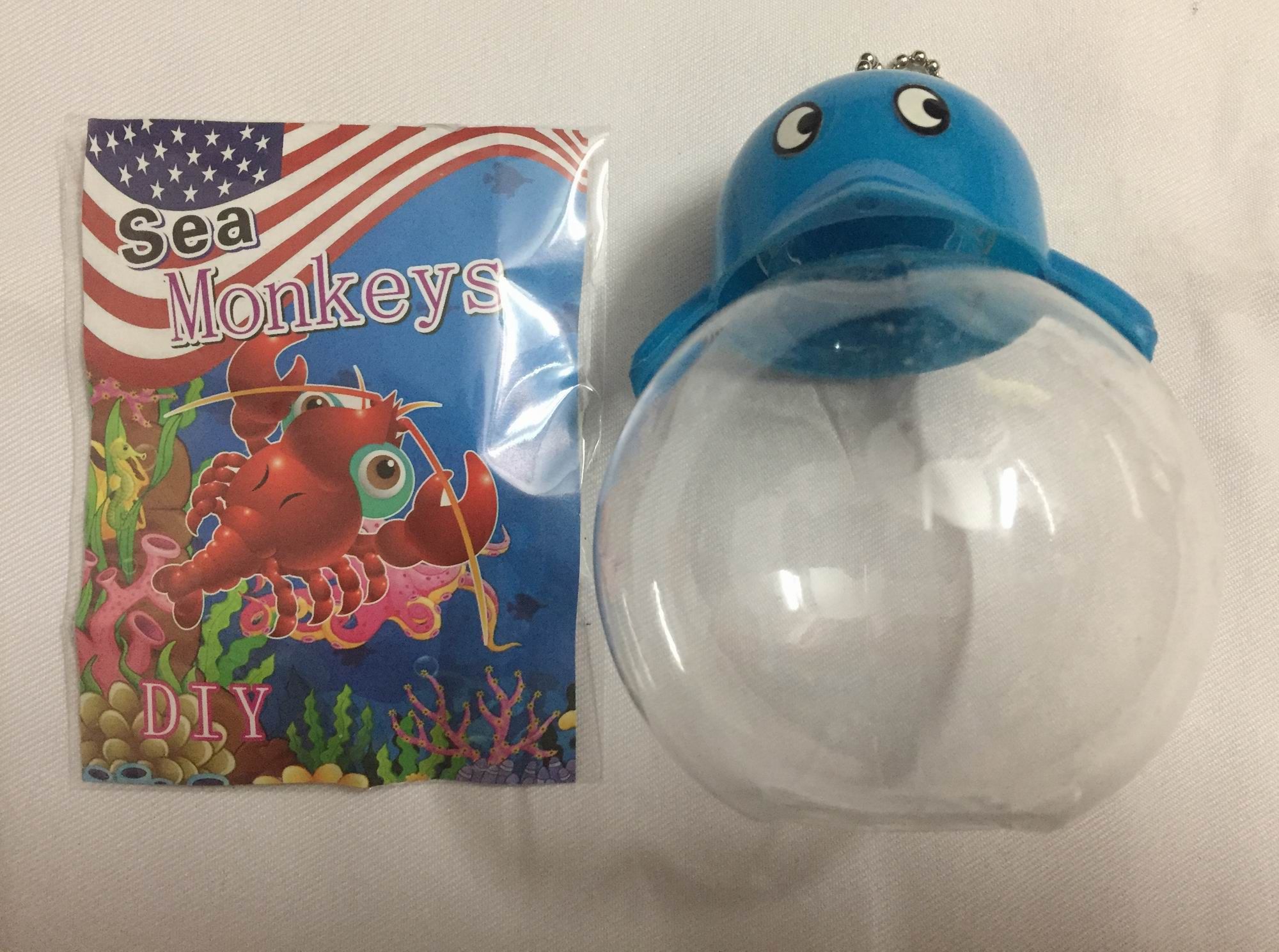 sea monkey eggs only sea monkey eggs only