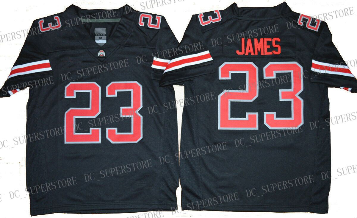 2020 Cheap Custom LeBron James #23 Ohio 