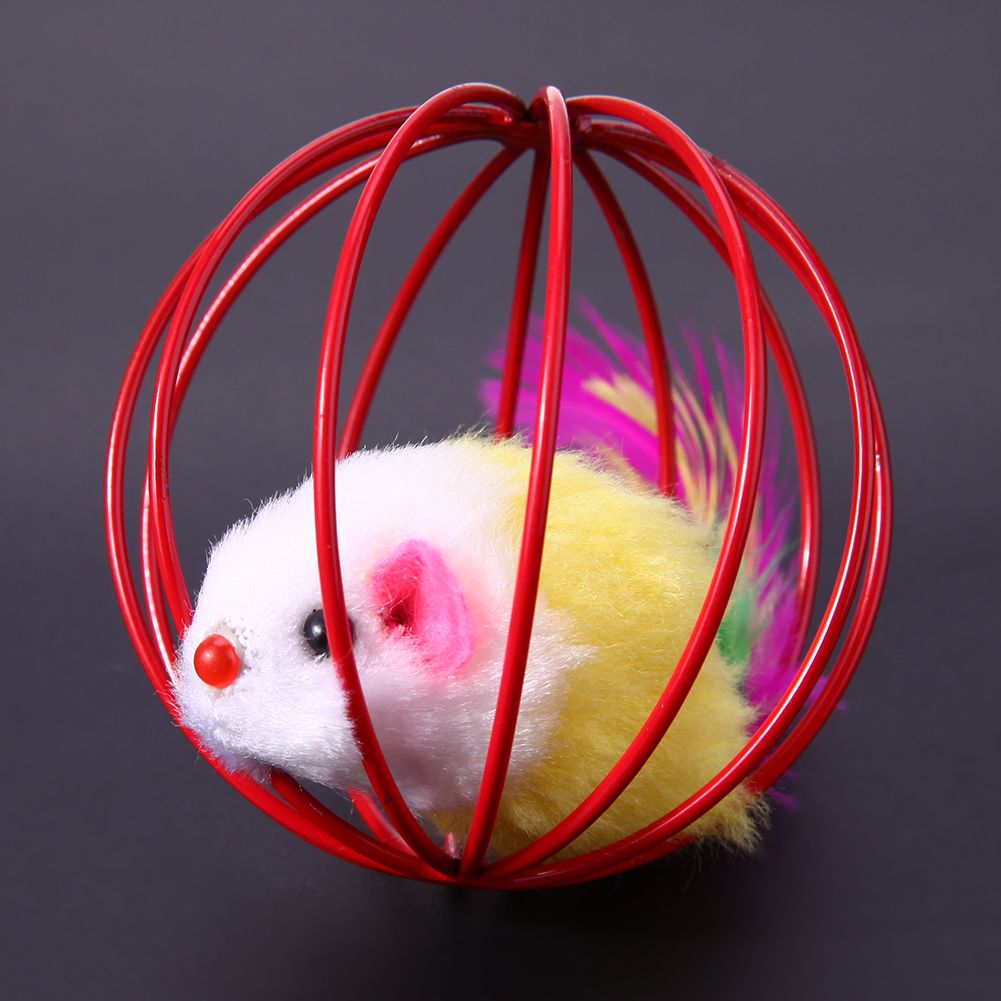 rat cage toys