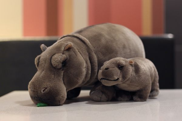 real animal toys