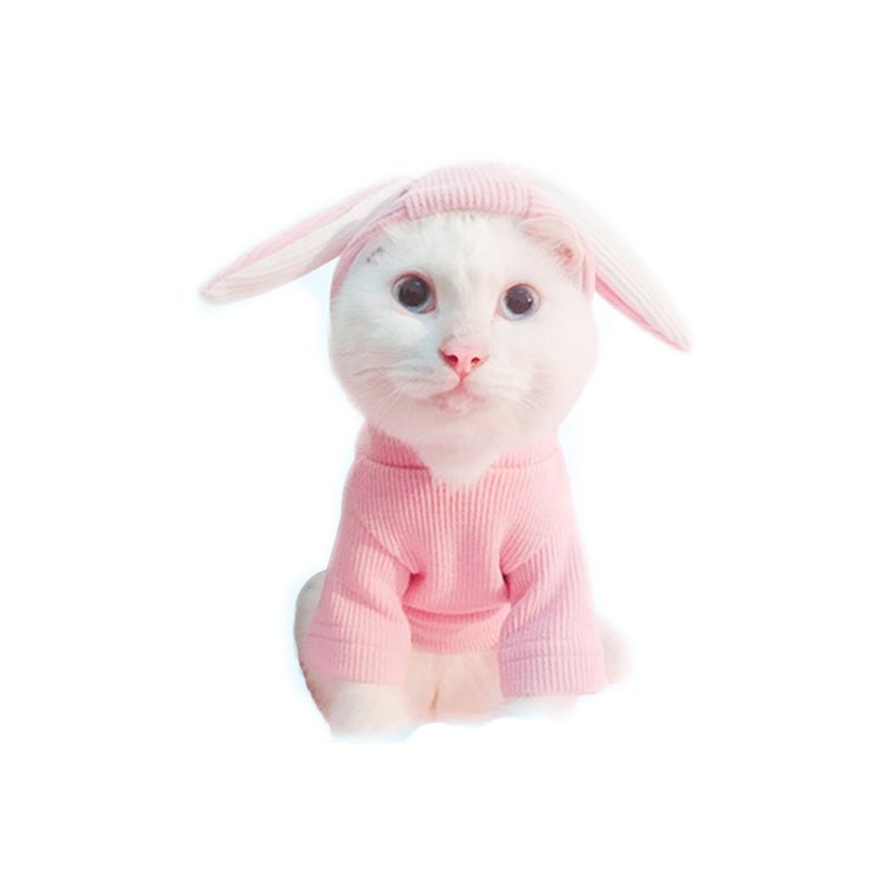satin al estrella parti cosplay suit evcil tavsan kulak giysileri kedi yavru kopek suit pretty sapka ile pet kaynagi ucretsiz nakliye tl62 44