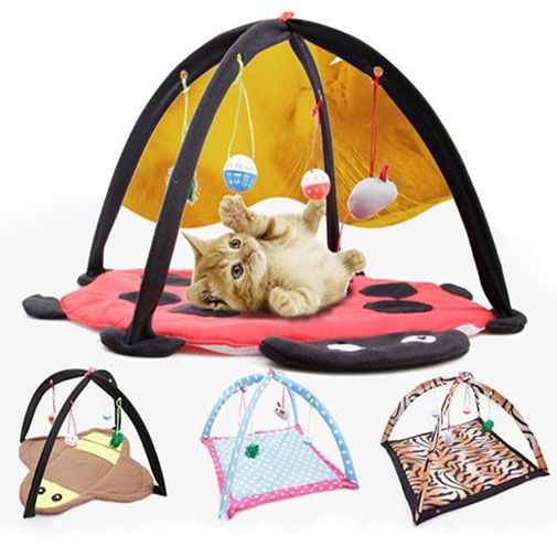 Piscine De Animaux Pataugeoire Pliable Pvc Portable Douche