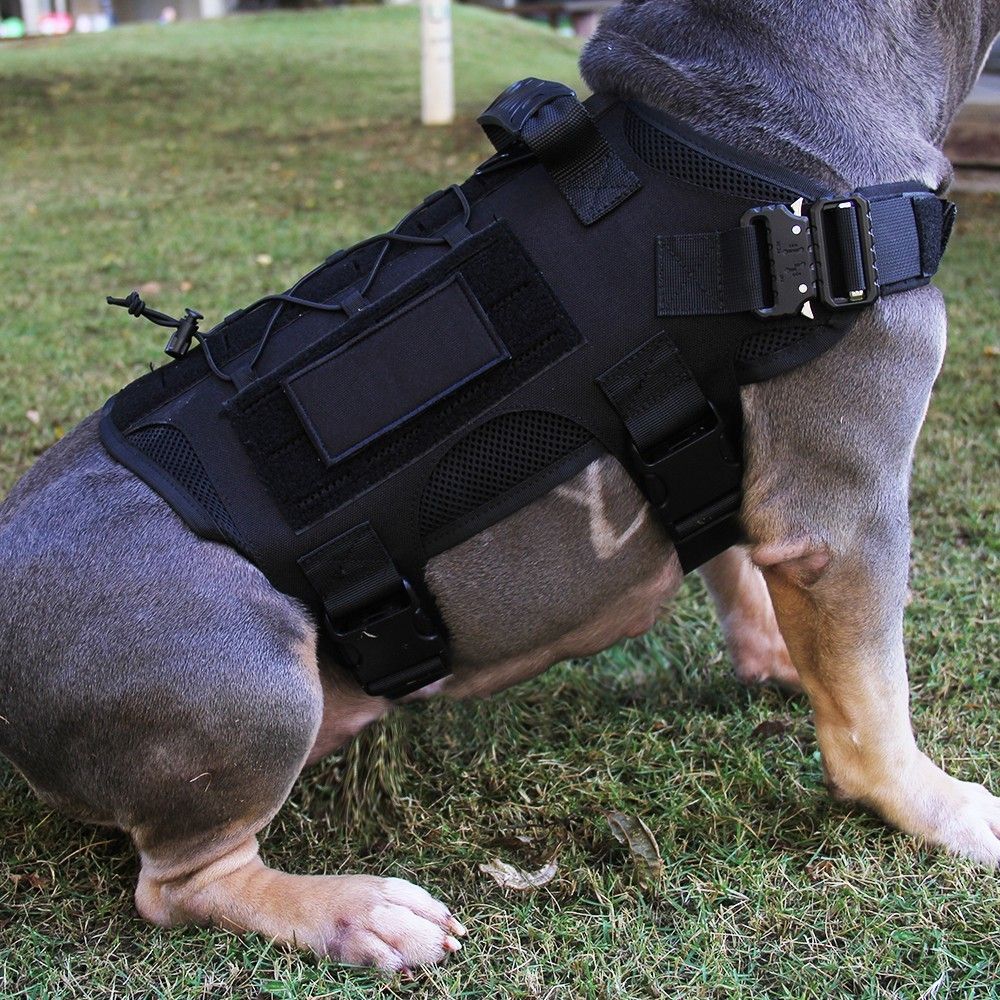 tactical dog carrier