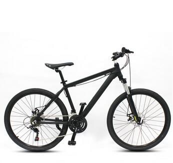 adult bike cheap