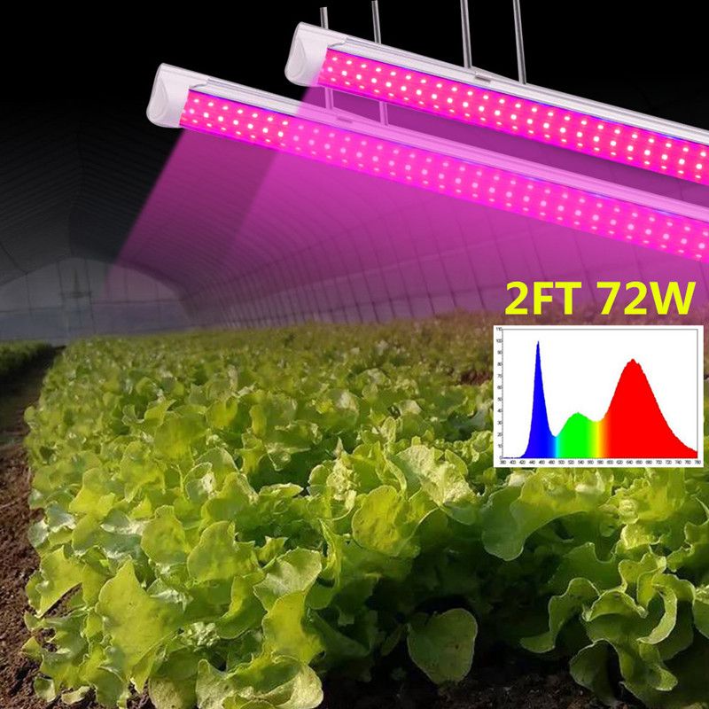 2FT 72W 4# Full Spectrum