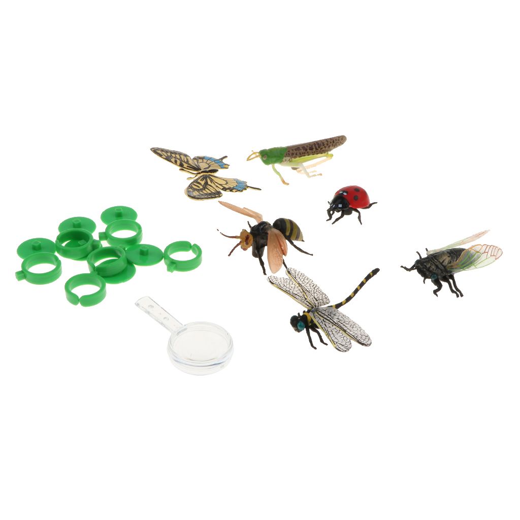 plastic insect toys