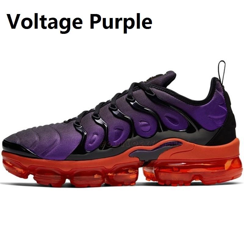 voltage purple tns
