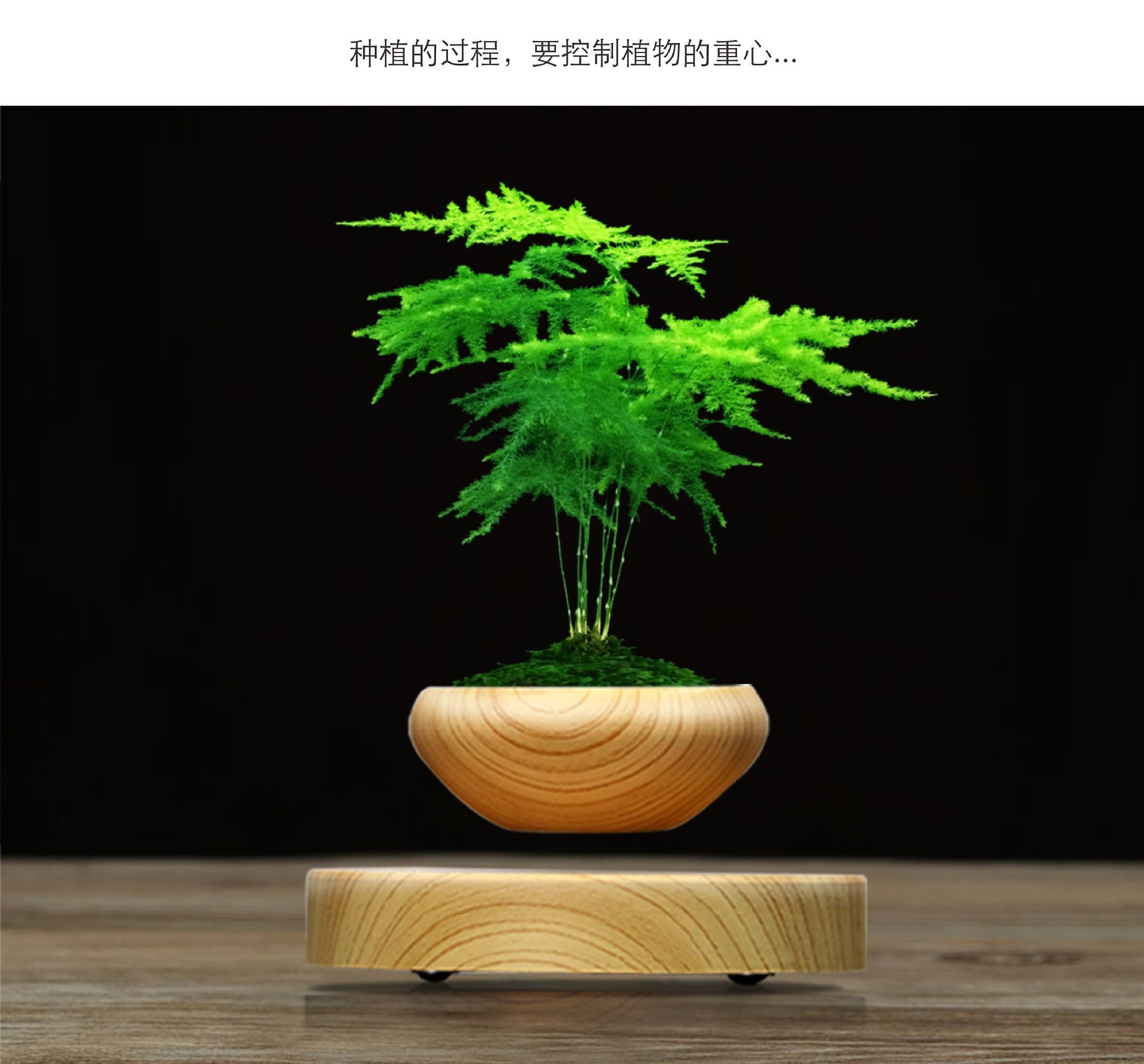 Magnetic Levitation Plant Creative Air Potted High End Fashion HighTech Ornament 