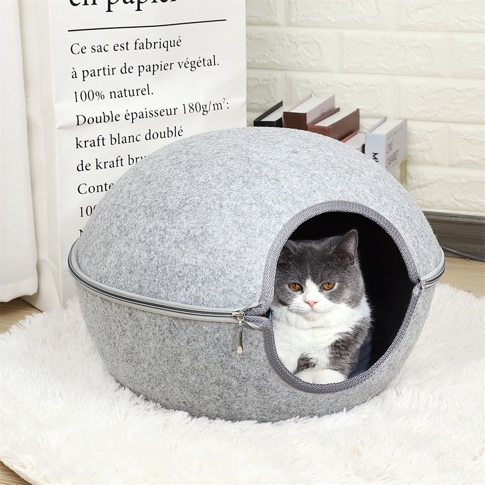 funny cat beds