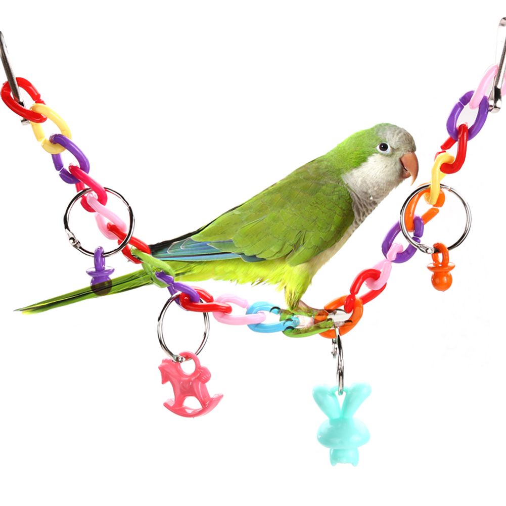 acrylic parrot toys