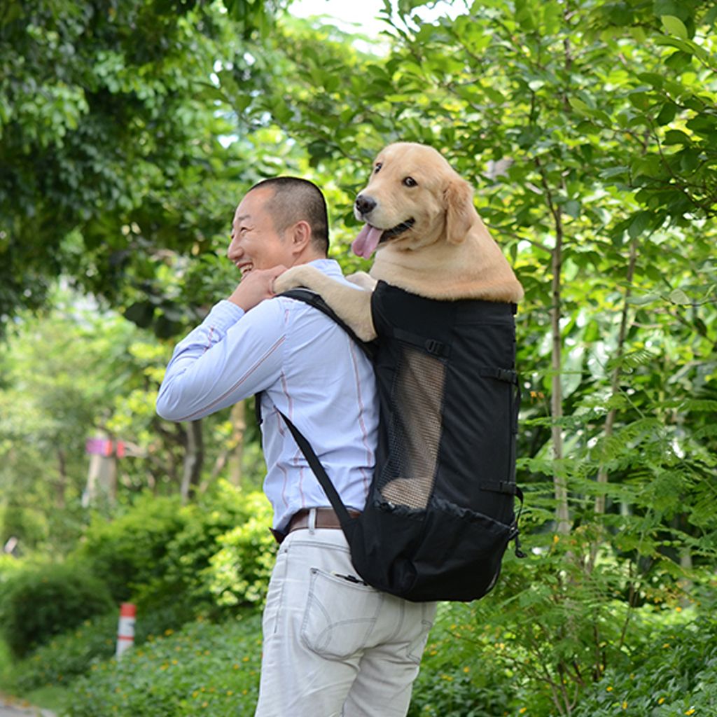 large dog carrier bag