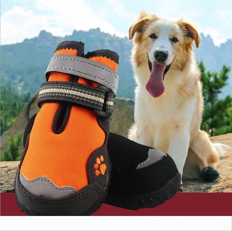 anti slip shoes for dogs