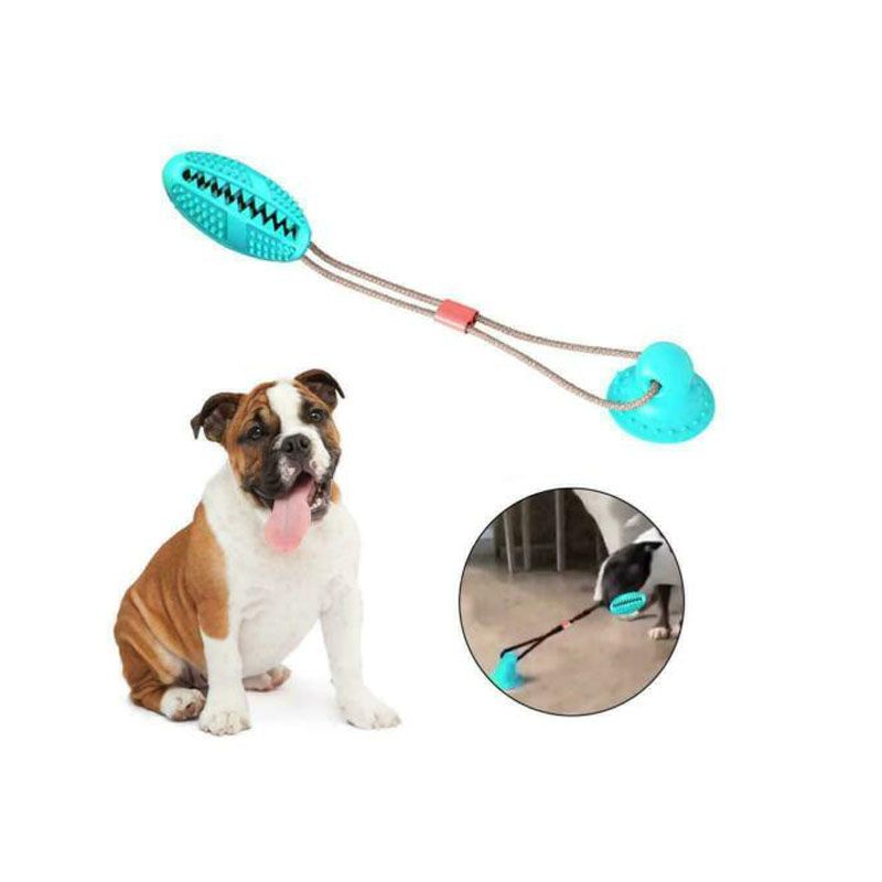 suction floor dog toy