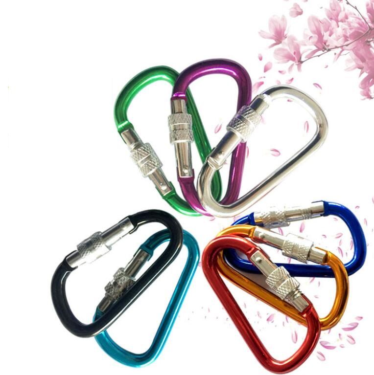 Carabiner Clip Keychain with Lock