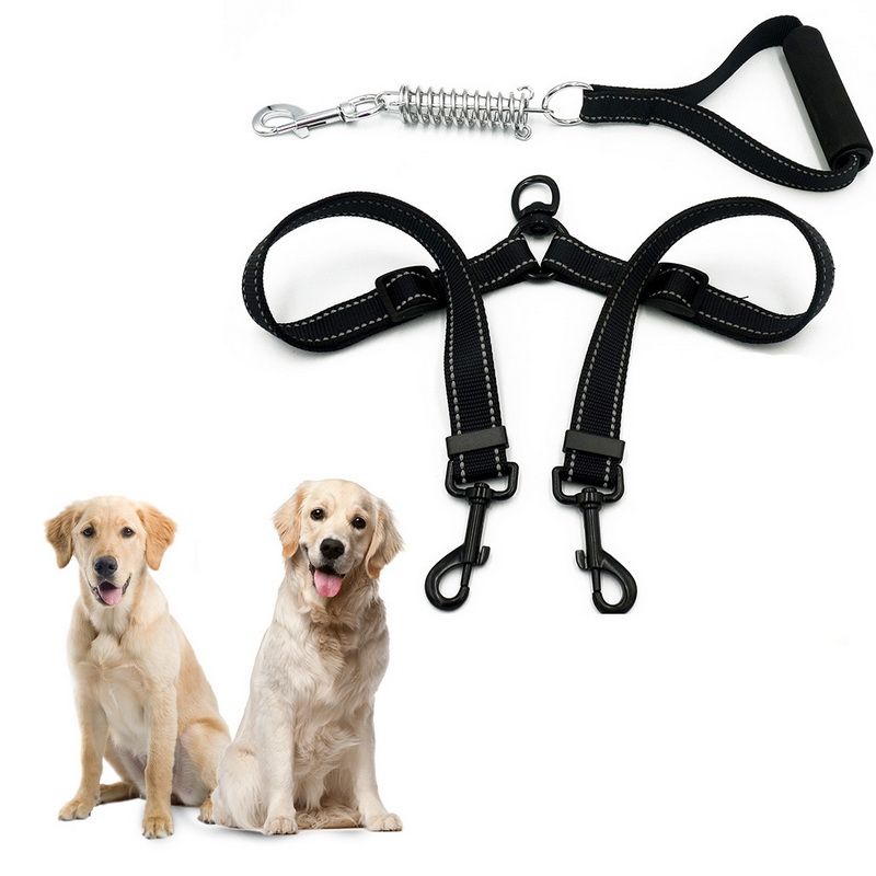elastic dog collar