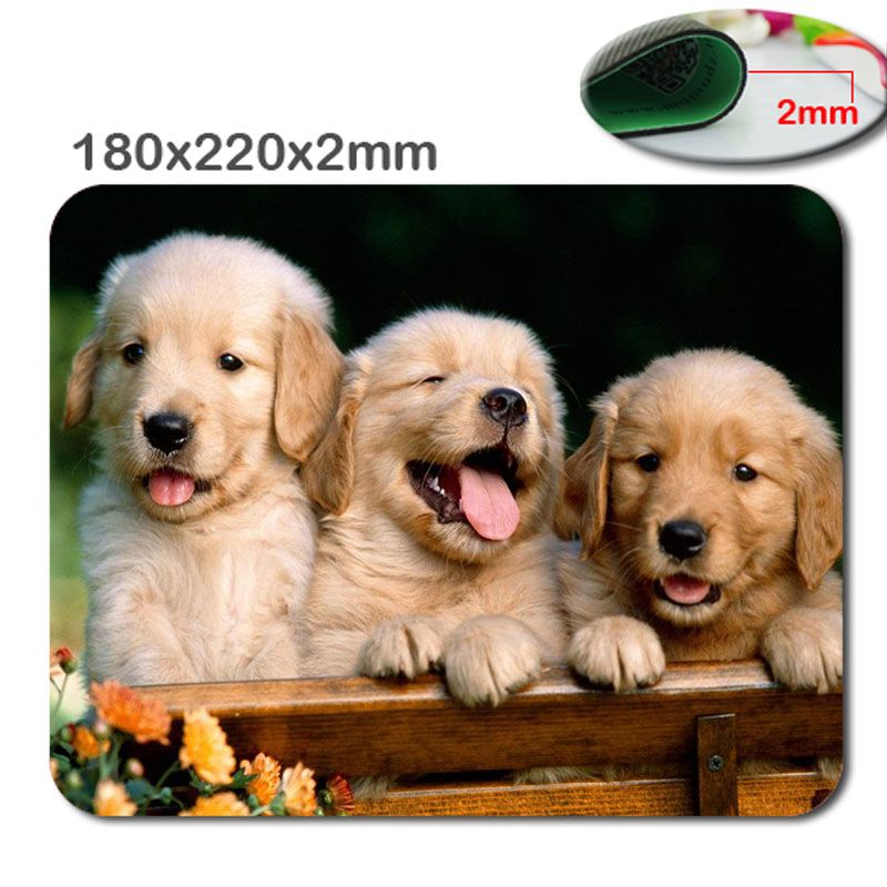 Animals Cat Kitten Dog Golden Retriever Puppy Mousepad Custom