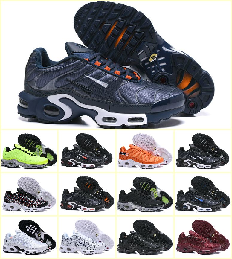 baskets tn requin