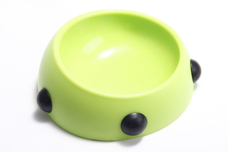 plastic cat dishes
