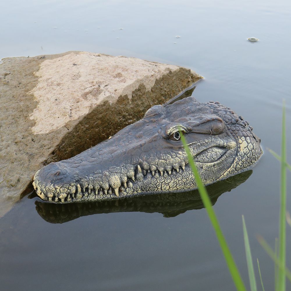 crocodile head rc boat