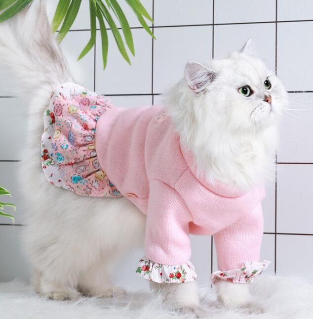 Yellow,Cat Clothes,Cute Female Care Clothing,Cute Pet Warm Autumn And  Winter Clothes For Cats From Supplierpro, $85.43