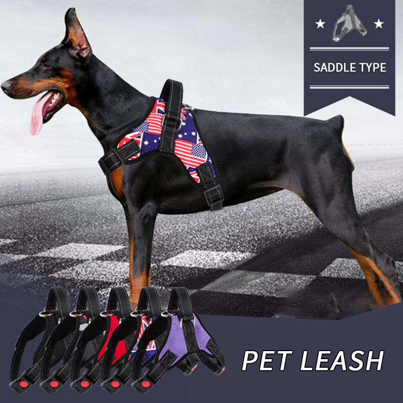 losy pet harness