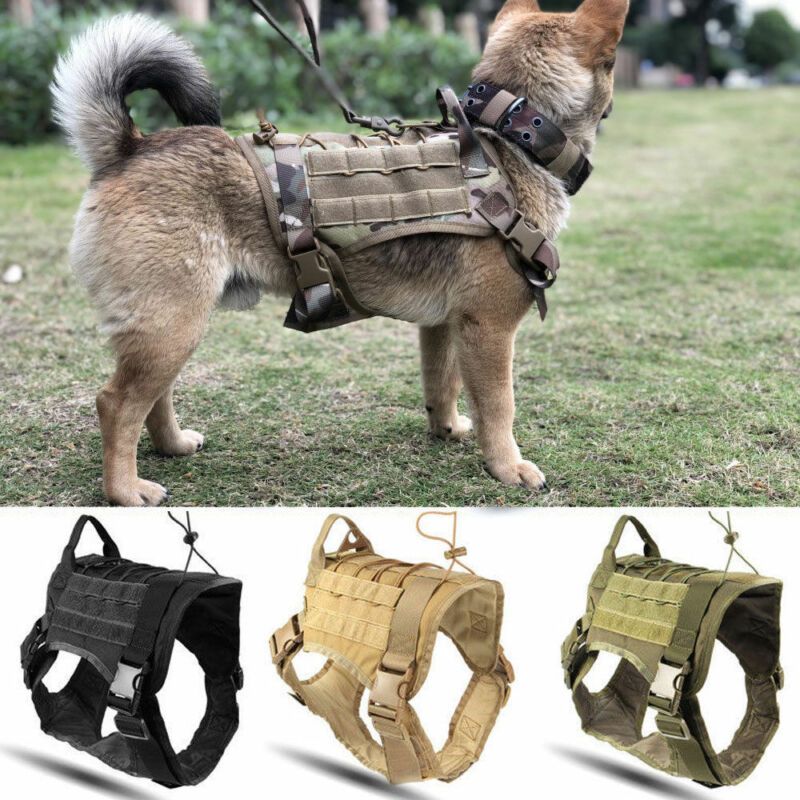 tactical dog harness small