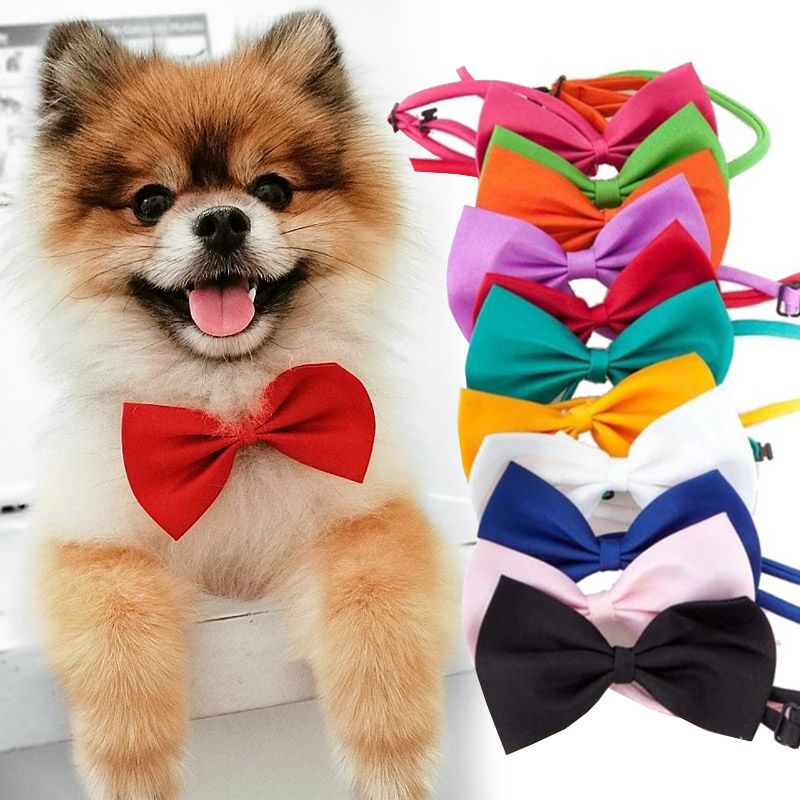2021 Adjustable Pet Dog Tie Dog Neck Ties Solid Color Necktie