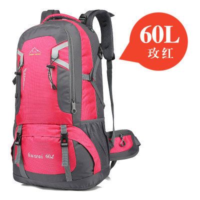 Fuschia 60l.