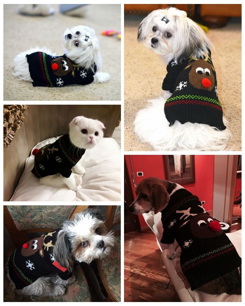 Großhandel Haustier Hund Pullover Für Herbst Winter Warme Stricken Häkeln Dackel Weihnachten Hundemantel Kleidung Für Chihuahua XS XL Von Prime_06, Großhandel Haustier Hund Pullover Für Herbst Winter Warme Stricken Häkeln Dackel Weihnachten Hundemantel Kleidung Für Chihuahua XS XL Von Prime_06,