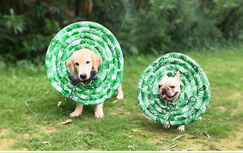 2019 Green Dog Recovery Collar Soft Comfy Cone E Collar After