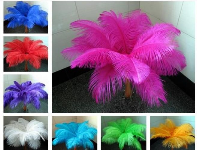 used ostrich feathers for sale