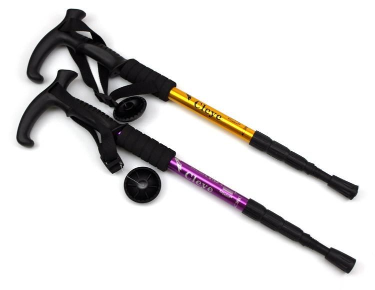 exped trekking pole