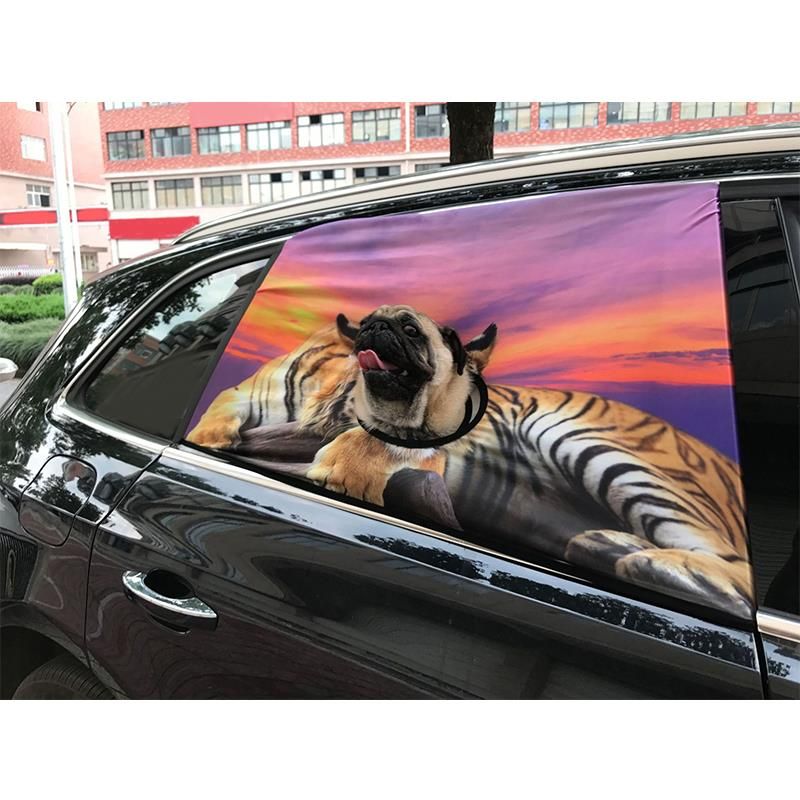 pet fence for car