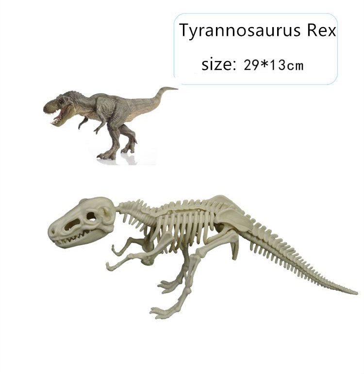 Tyrannosaurus Rex