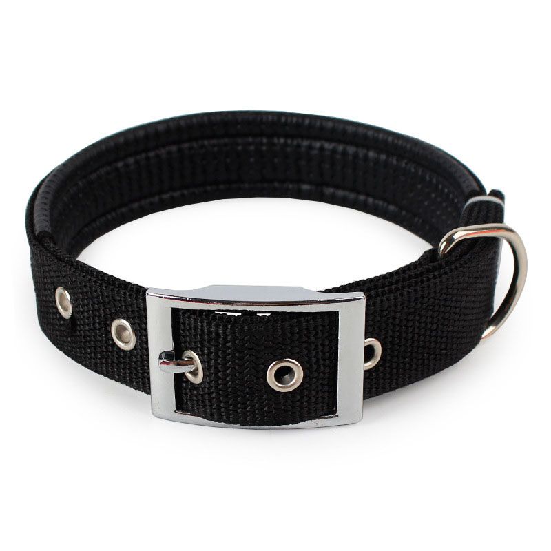 thick nylon dog collars