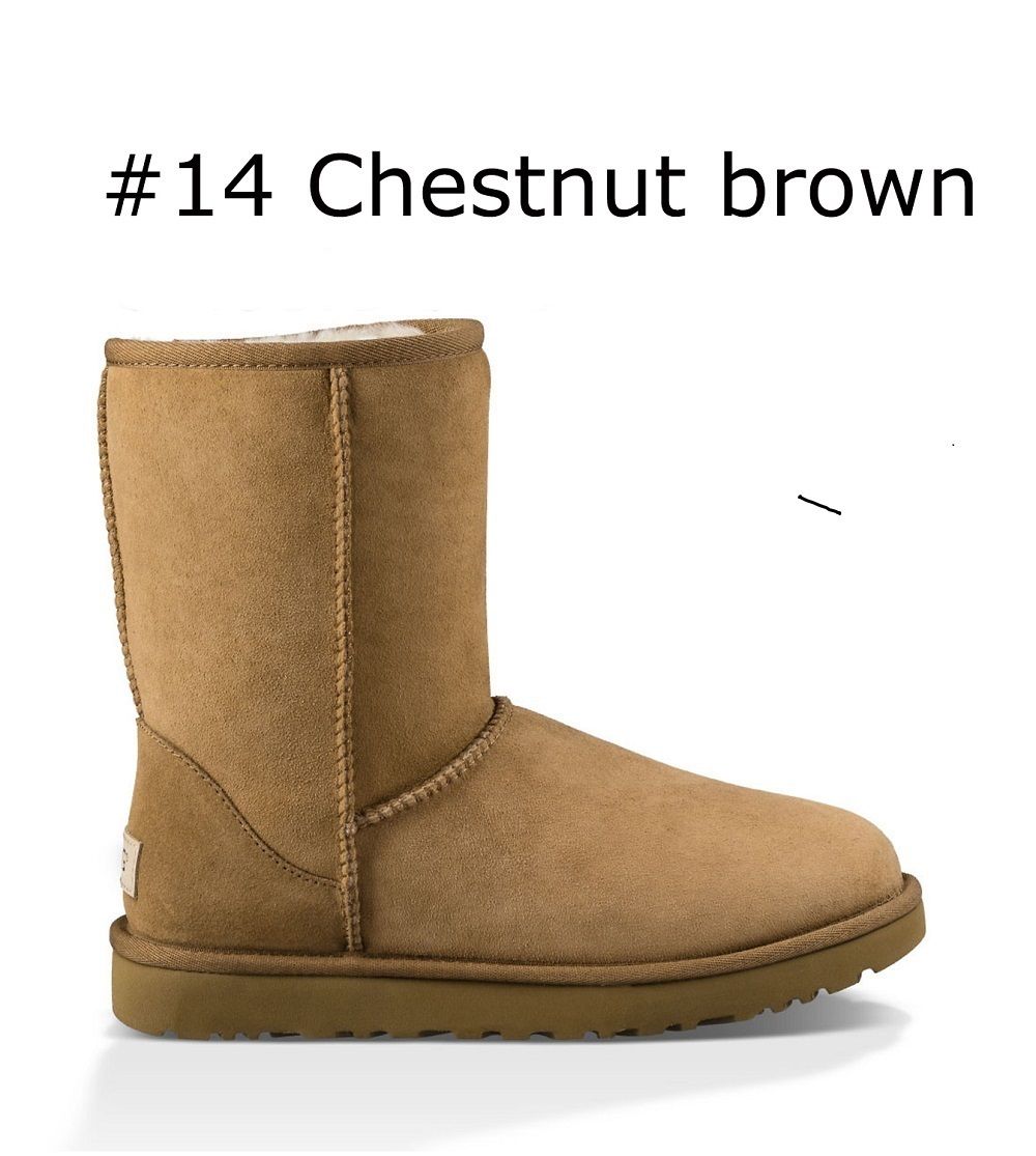 14 Chestnut brown classic short