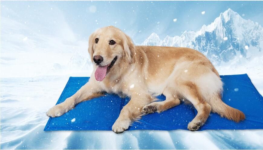 2019 Multi Functional Pet Cooler Mats Ice Pad Pet Dog Cat Summer