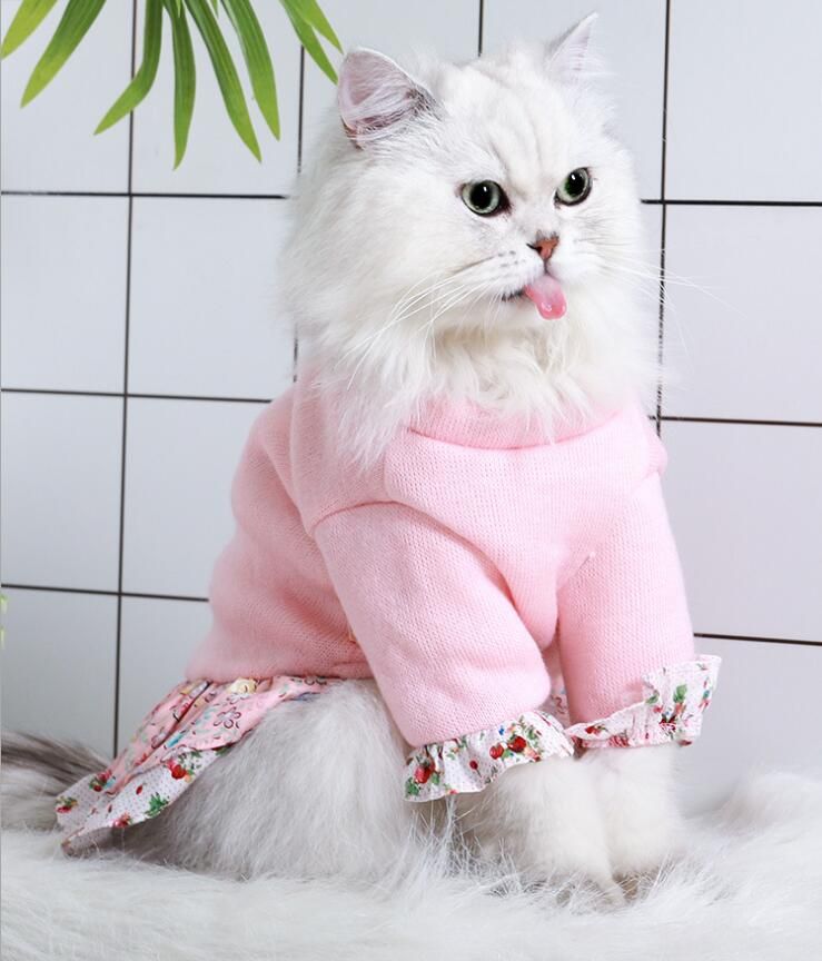 Xs,Cat Clothes,Cute Female Care Clothing,Autumn And Winter Warm Cat Clothes  Spot Wholesale From Supplierpro, $85.43