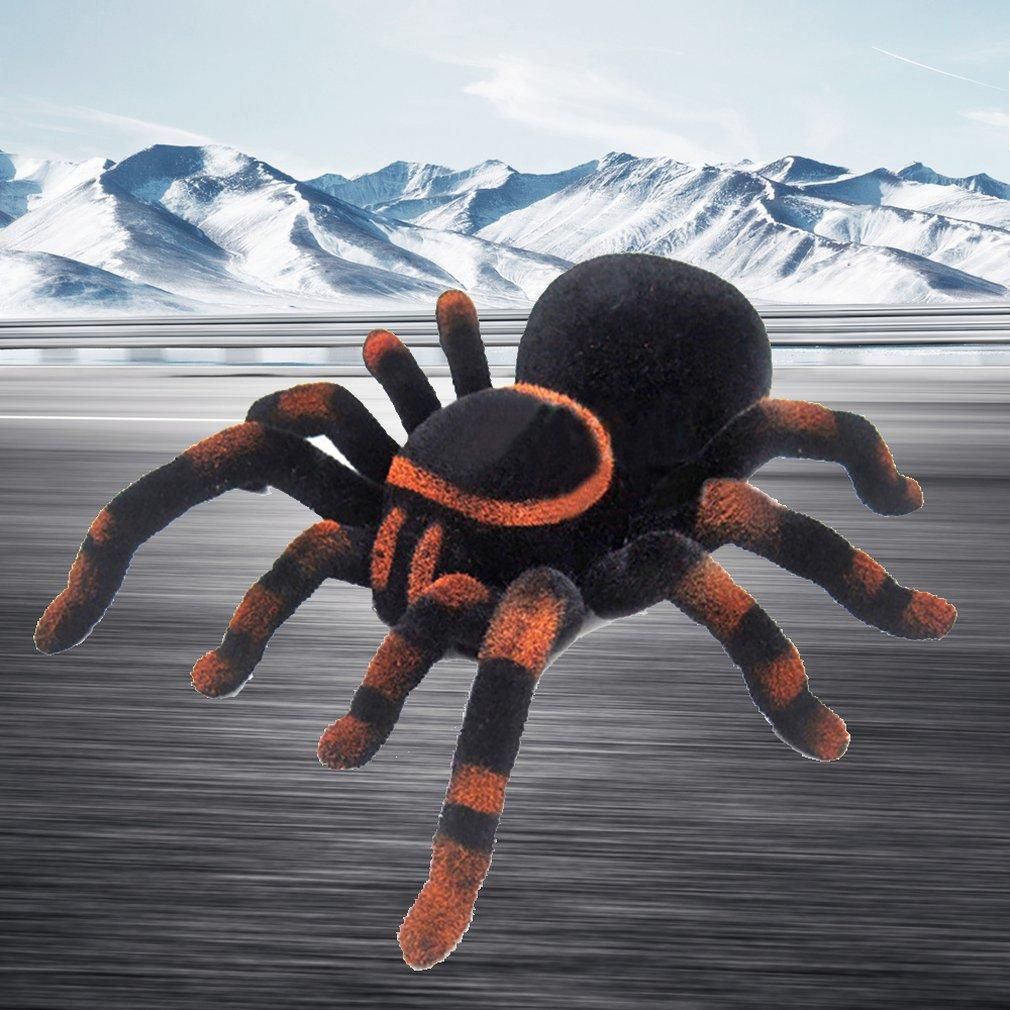 remote spider toy