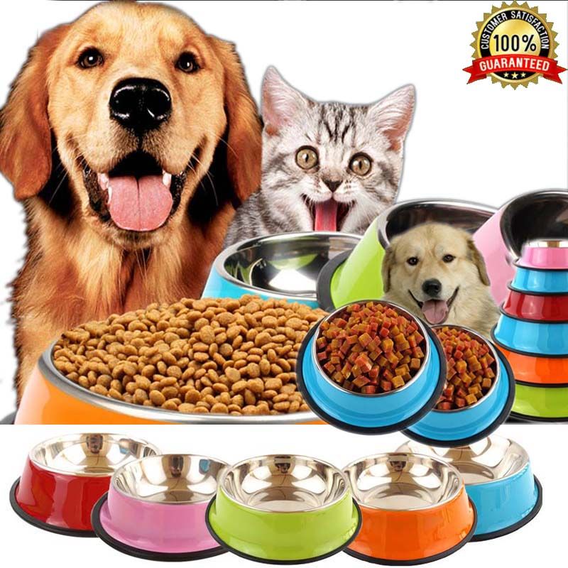 outdoor dog food bowl
