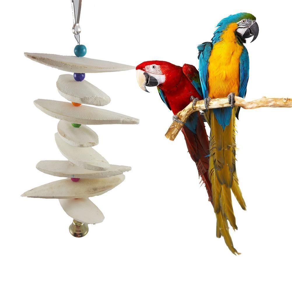 parrot chew toys