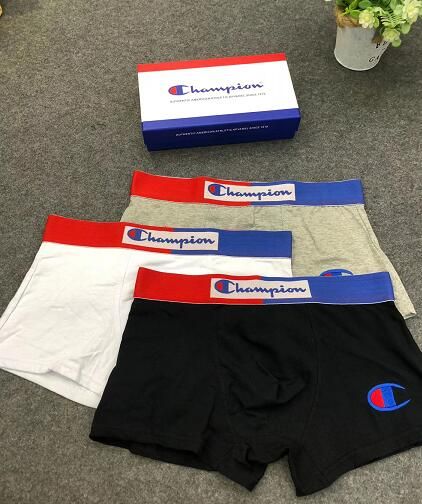 champion underpants