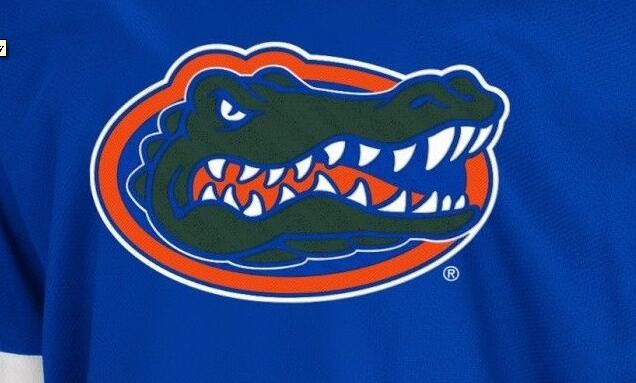 gators hockey jersey