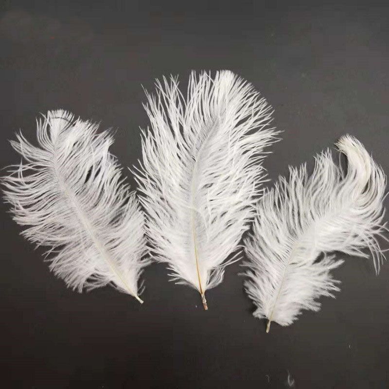piume da comprare