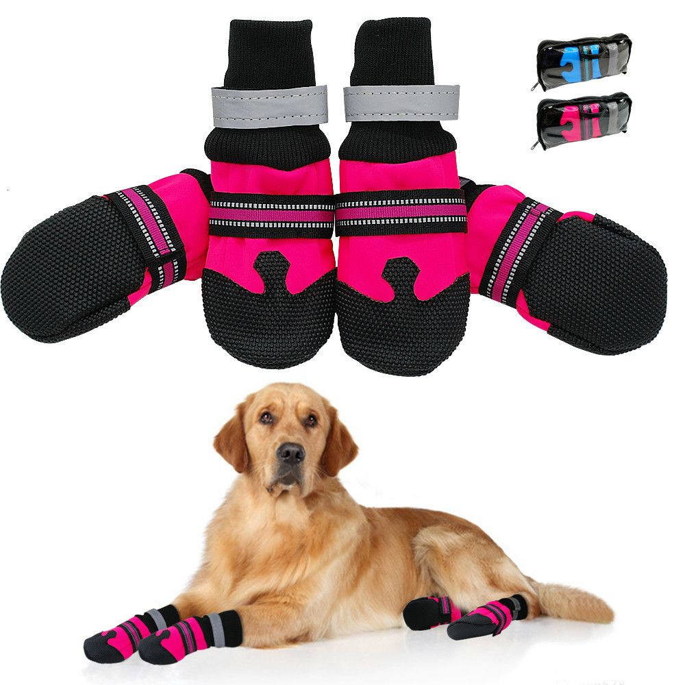 dog shoes medium